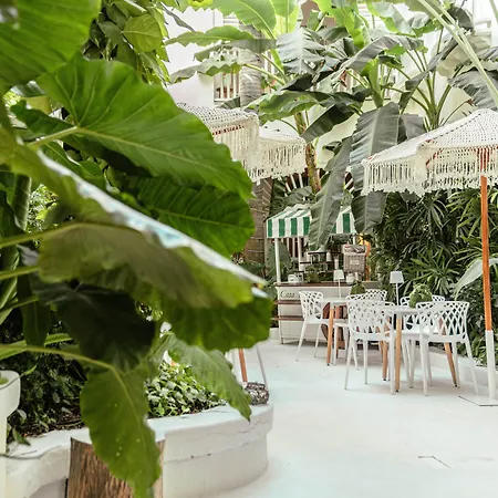 Casa Diluca Cartagena Hotel Boutique-3